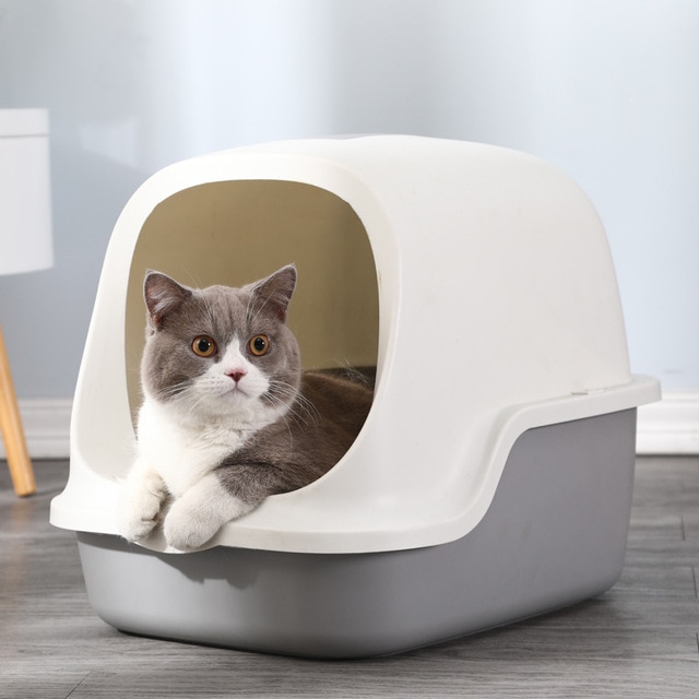  Cat Litter Box 